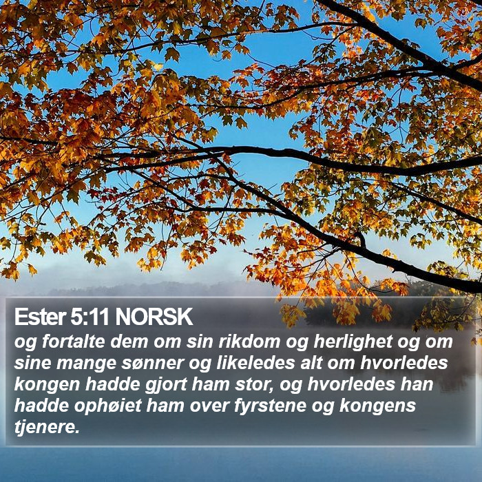Ester 5:11 NORSK Bible Study