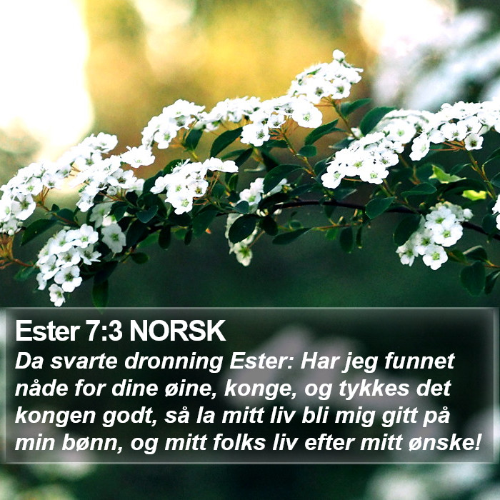 Ester 7:3 NORSK Bible Study