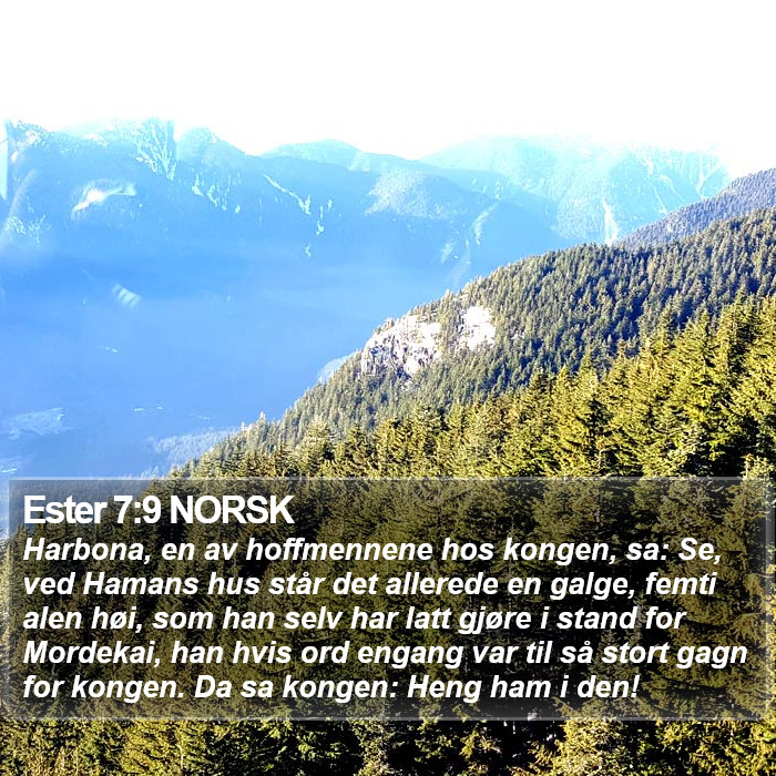 Ester 7:9 NORSK Bible Study