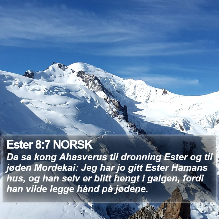 Ester 8:7 NORSK Bible Study