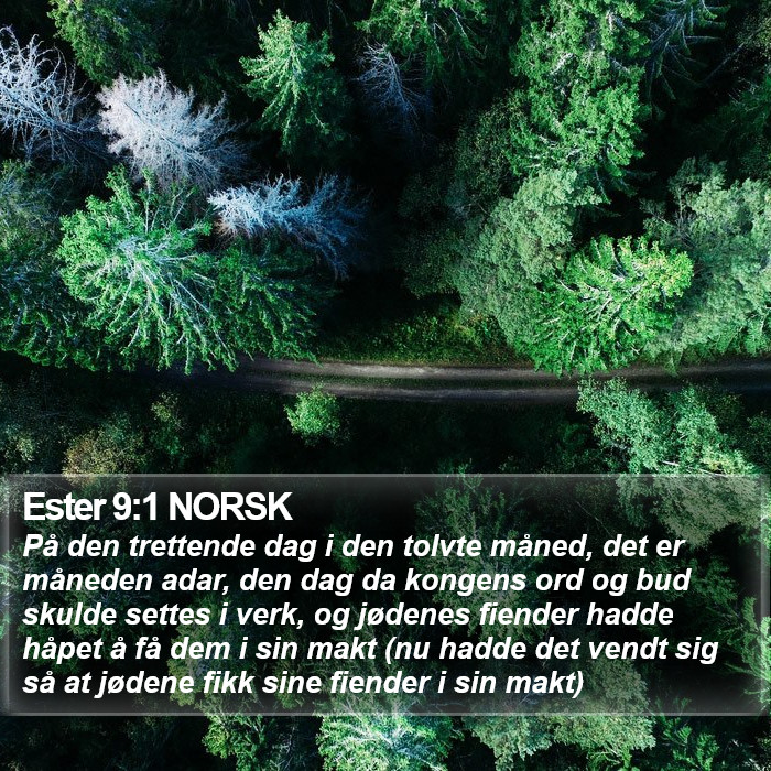 Ester 9:1 NORSK Bible Study