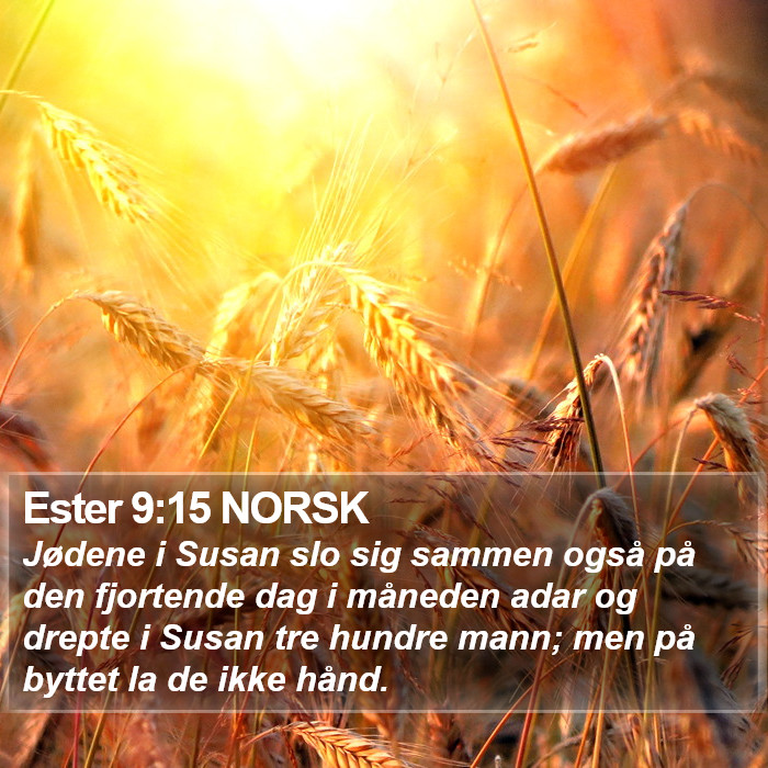 Ester 9:15 NORSK Bible Study