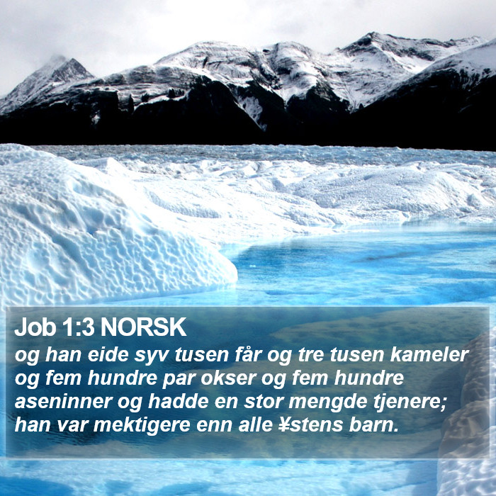 Job 1:3 NORSK Bible Study