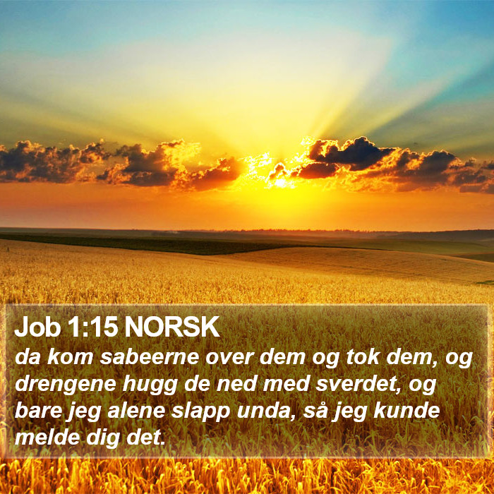 Job 1:15 NORSK Bible Study