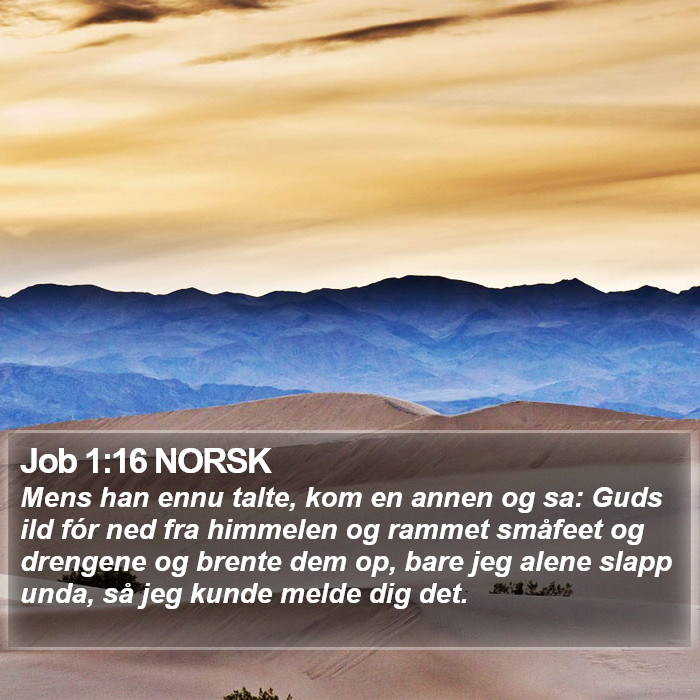 Job 1:16 NORSK Bible Study