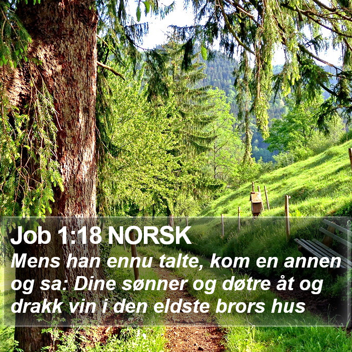 Job 1:18 NORSK Bible Study