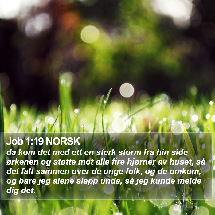 Job 1:19 NORSK Bible Study