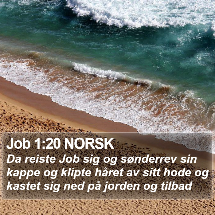 Job 1:20 NORSK Bible Study