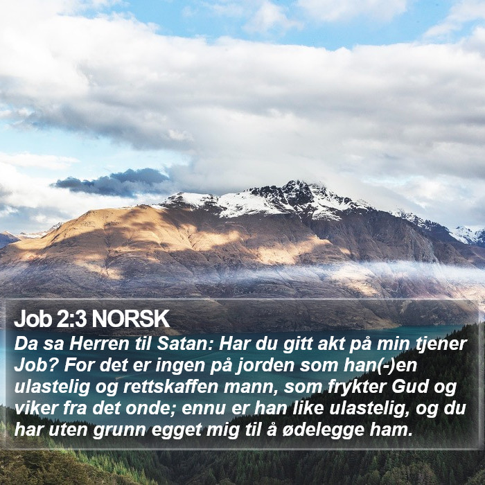 Job 2:3 NORSK Bible Study