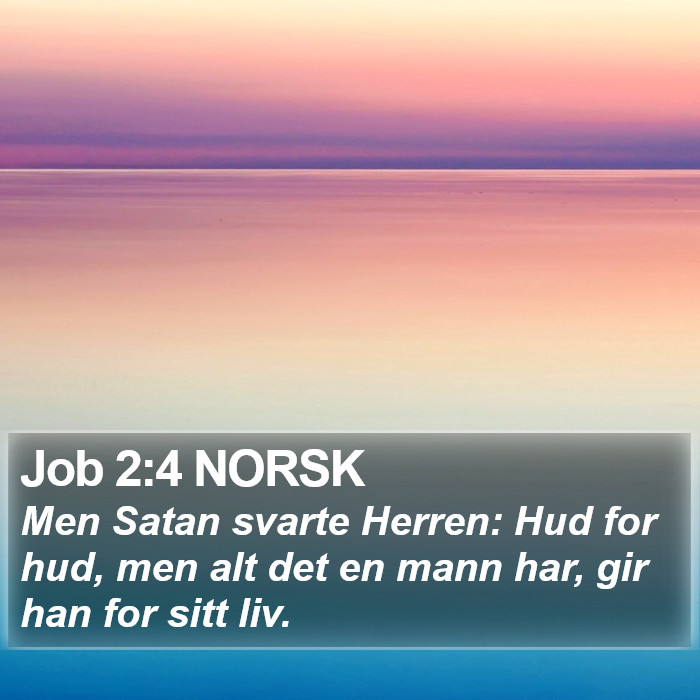 Job 2:4 NORSK Bible Study