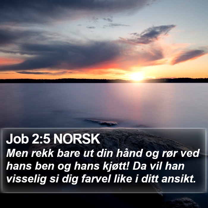 Job 2:5 NORSK Bible Study