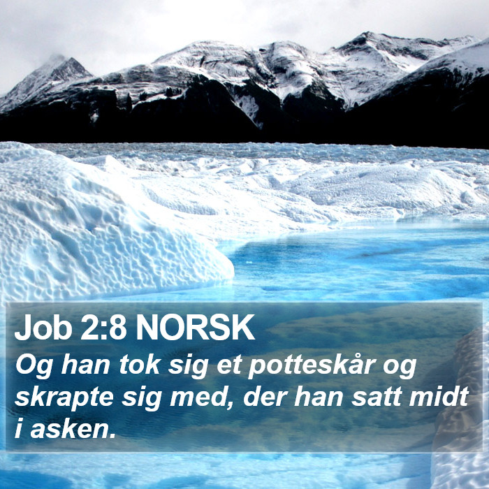 Job 2:8 NORSK Bible Study