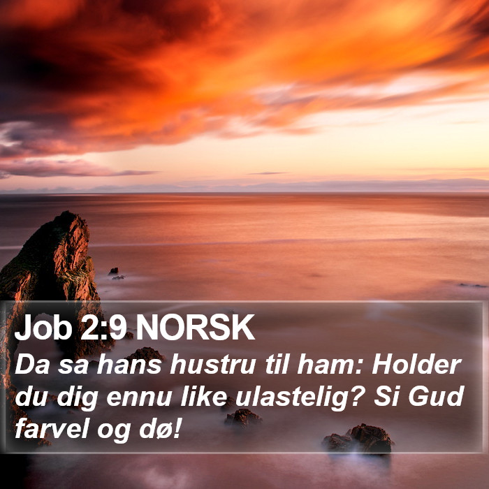Job 2:9 NORSK Bible Study
