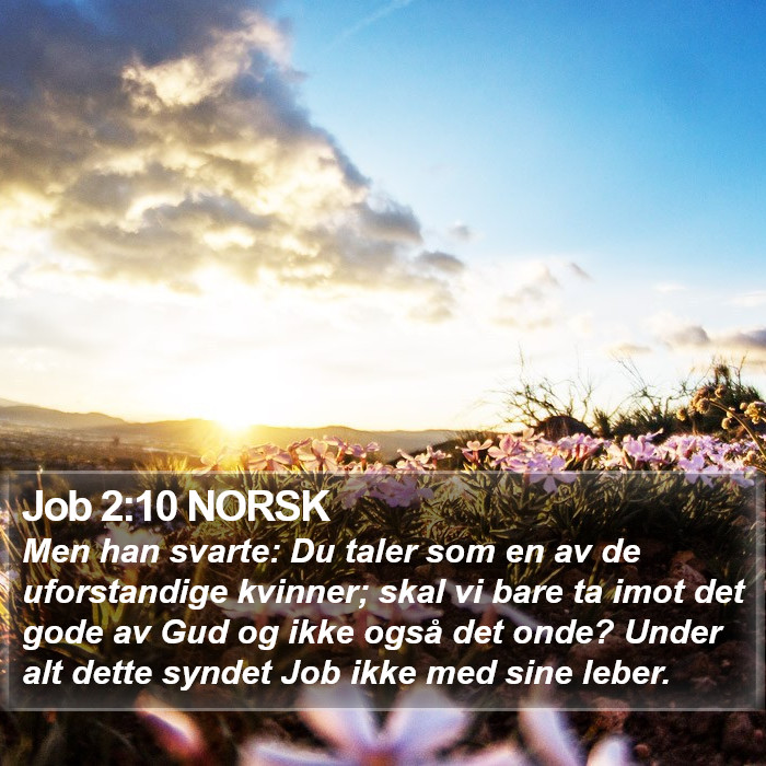 Job 2:10 NORSK Bible Study