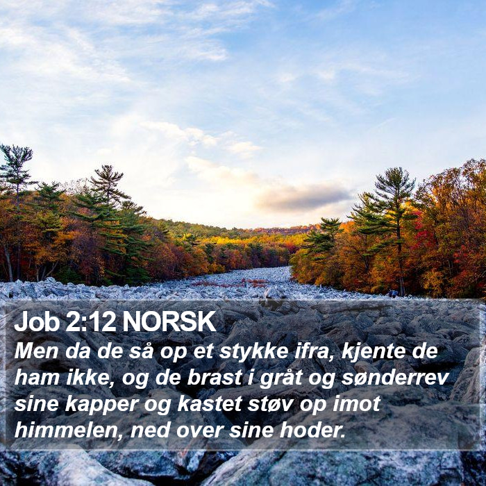 Job 2:12 NORSK Bible Study