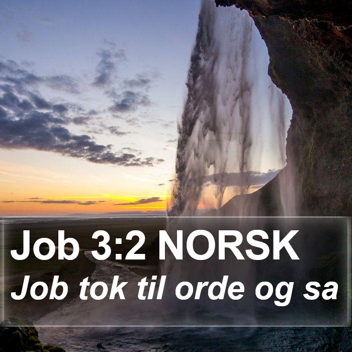 Job 3:2 NORSK Bible Study