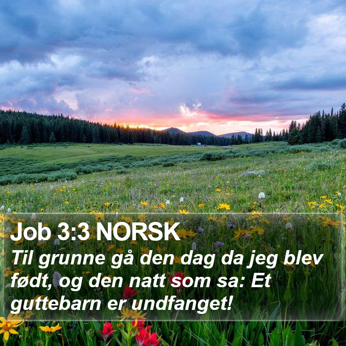 Job 3:3 NORSK Bible Study