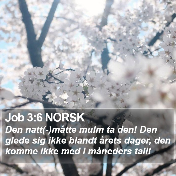 Job 3:6 NORSK Bible Study