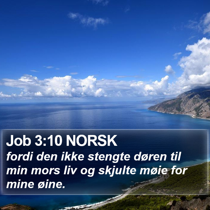 Job 3:10 NORSK Bible Study