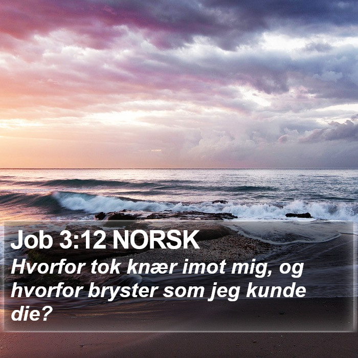 Job 3:12 NORSK Bible Study