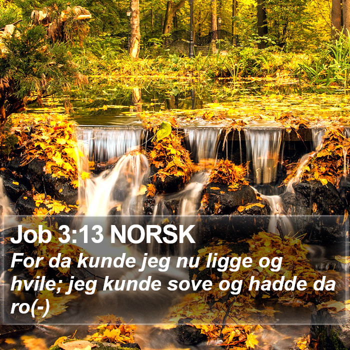 Job 3:13 NORSK Bible Study