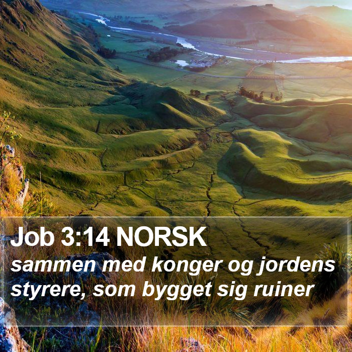 Job 3:14 NORSK Bible Study