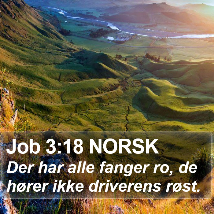 Job 3:18 NORSK Bible Study