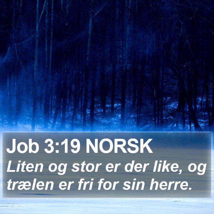 Job 3:19 NORSK Bible Study