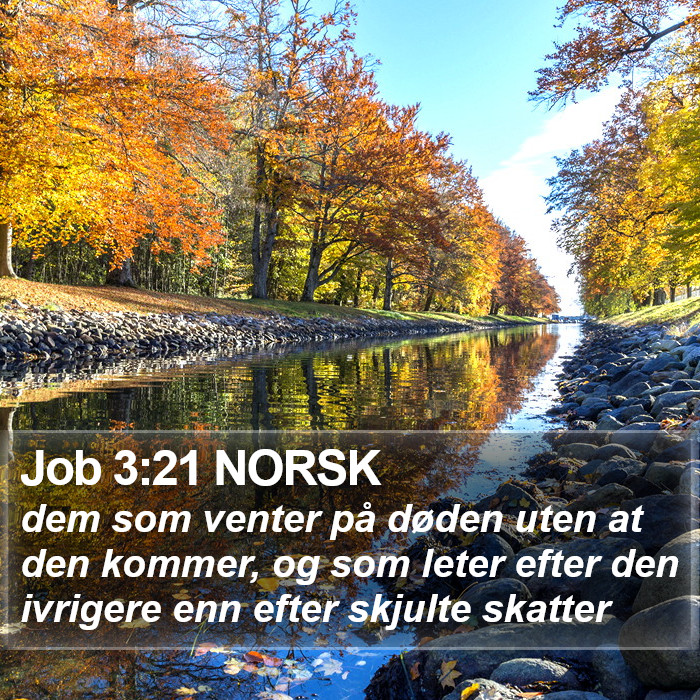 Job 3:21 NORSK Bible Study