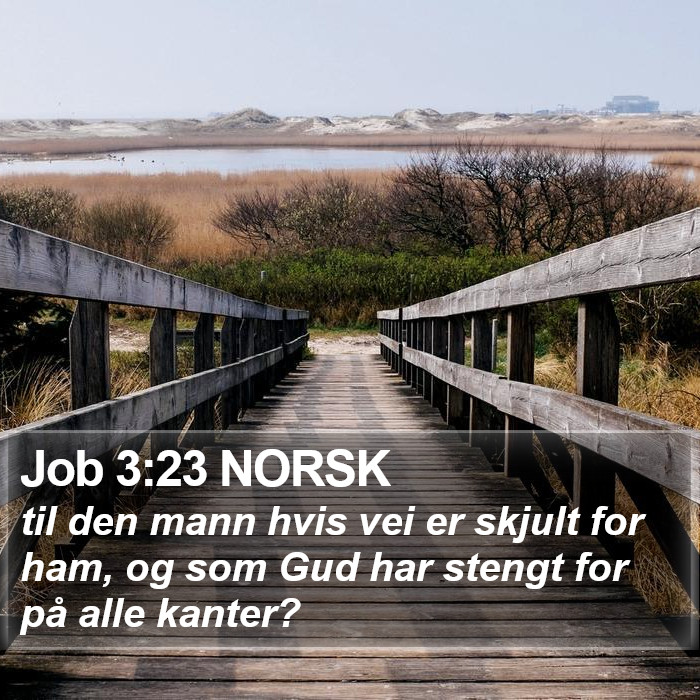 Job 3:23 NORSK Bible Study