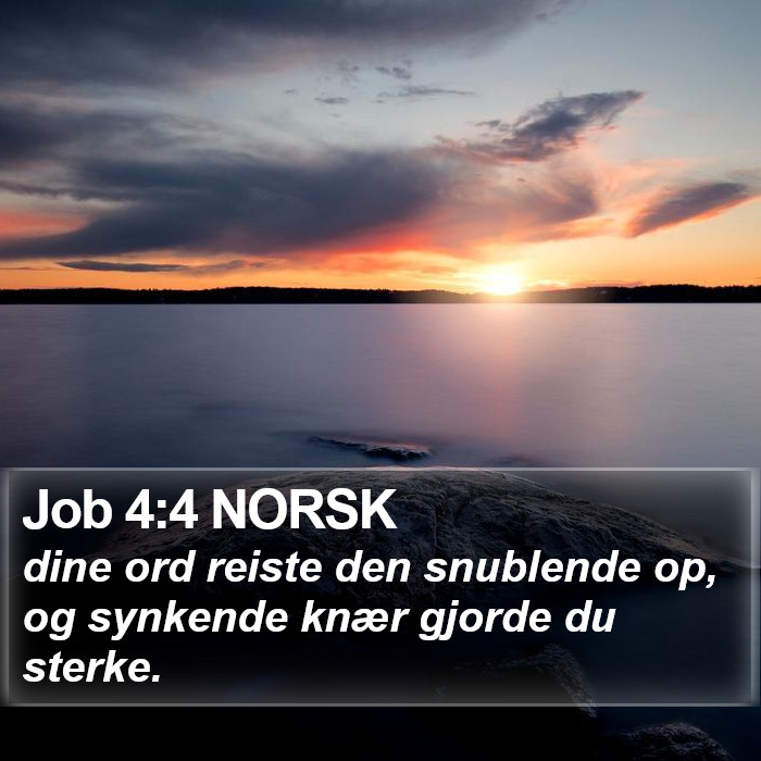 Job 4:4 NORSK Bible Study