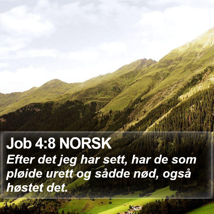 Job 4:8 NORSK Bible Study