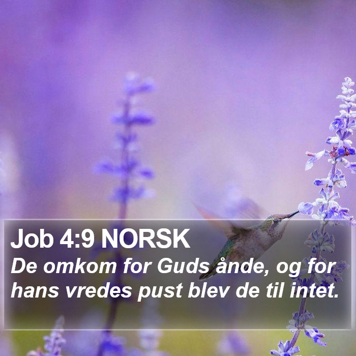 Job 4:9 NORSK Bible Study