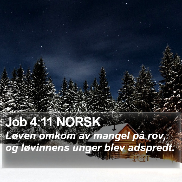 Job 4:11 NORSK Bible Study