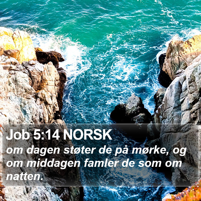 Job 5:14 NORSK Bible Study