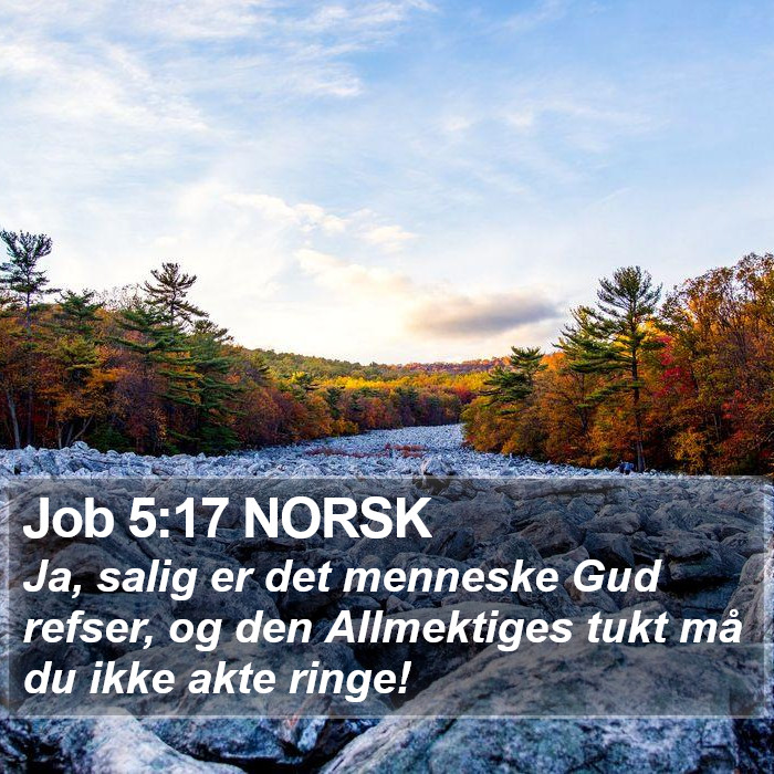 Job 5:17 NORSK Bible Study