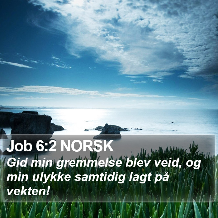 Job 6:2 NORSK Bible Study