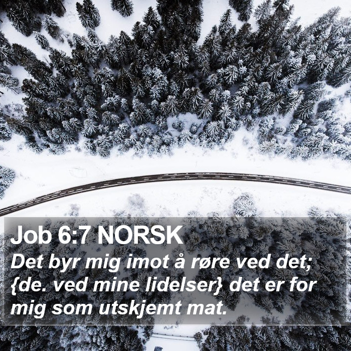 Job 6:7 NORSK Bible Study