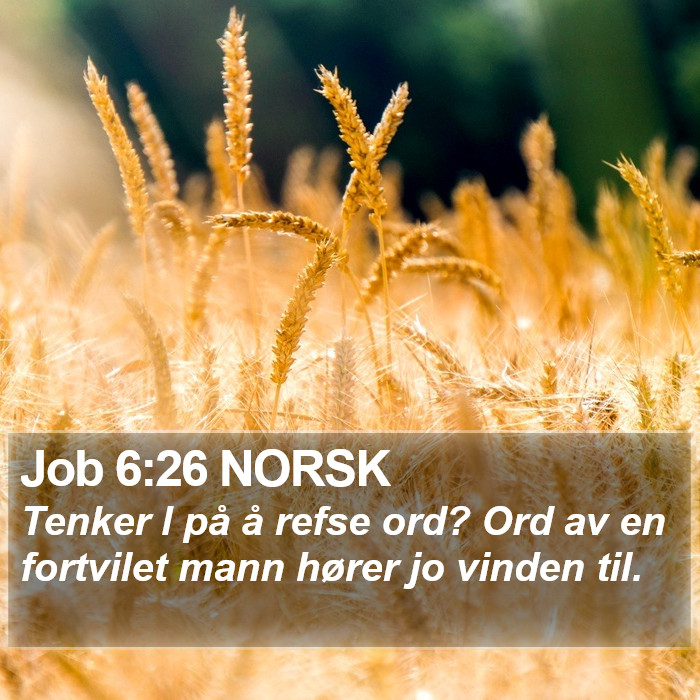 Job 6:26 NORSK Bible Study