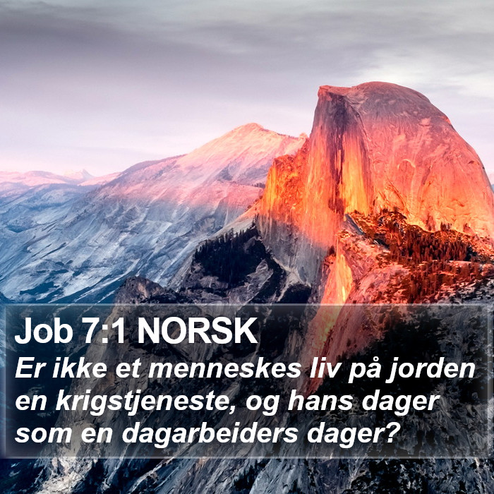 Job 7:1 NORSK Bible Study