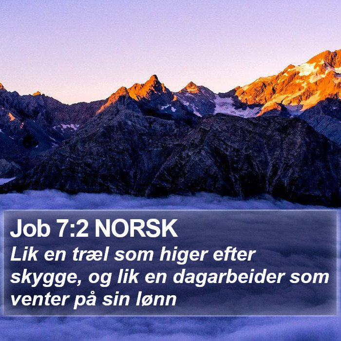 Job 7:2 NORSK Bible Study