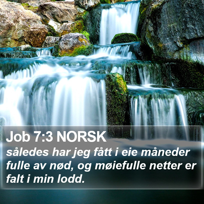 Job 7:3 NORSK Bible Study