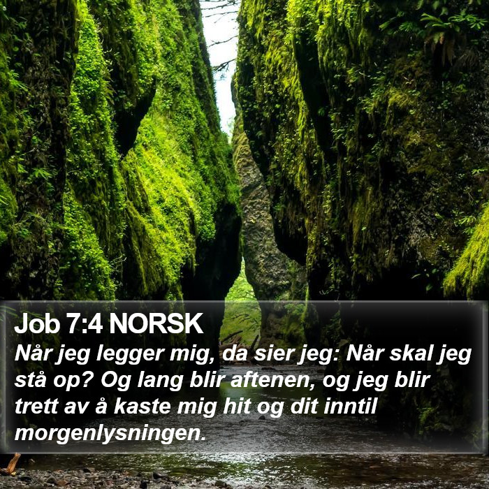 Job 7:4 NORSK Bible Study