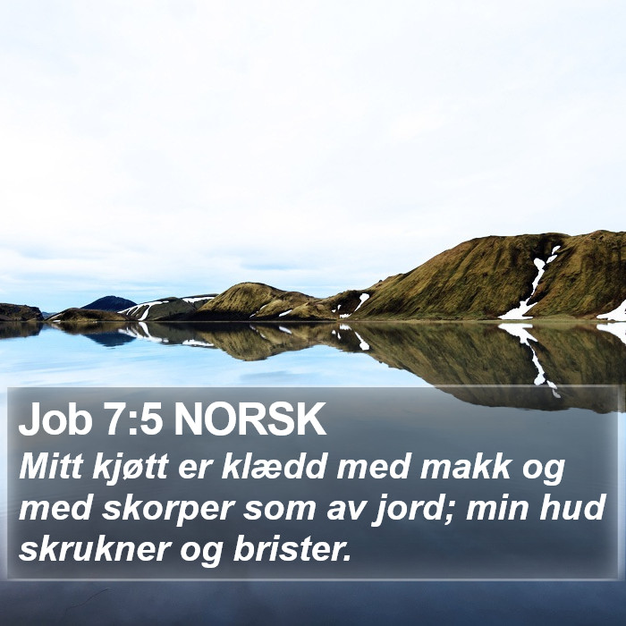 Job 7:5 NORSK Bible Study