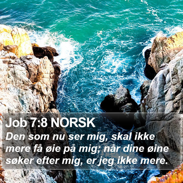 Job 7:8 NORSK Bible Study