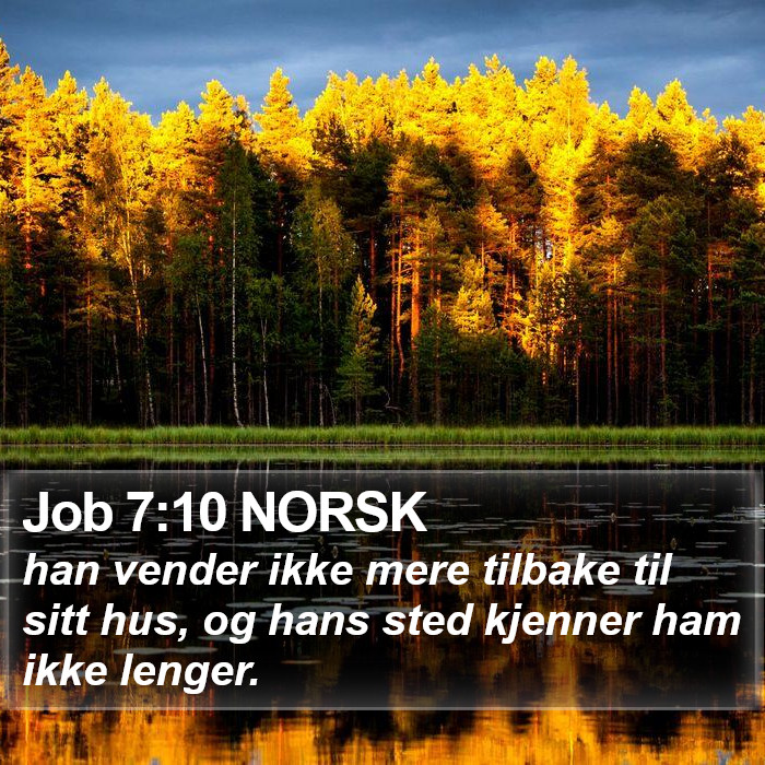 Job 7:10 NORSK Bible Study
