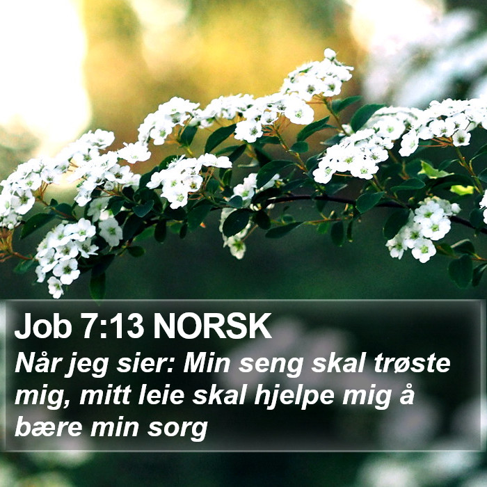 Job 7:13 NORSK Bible Study