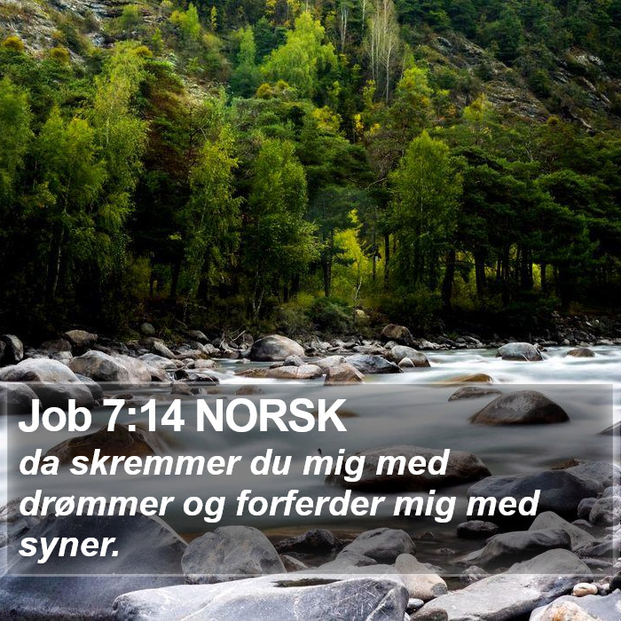 Job 7:14 NORSK Bible Study