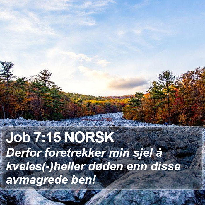 Job 7:15 NORSK Bible Study
