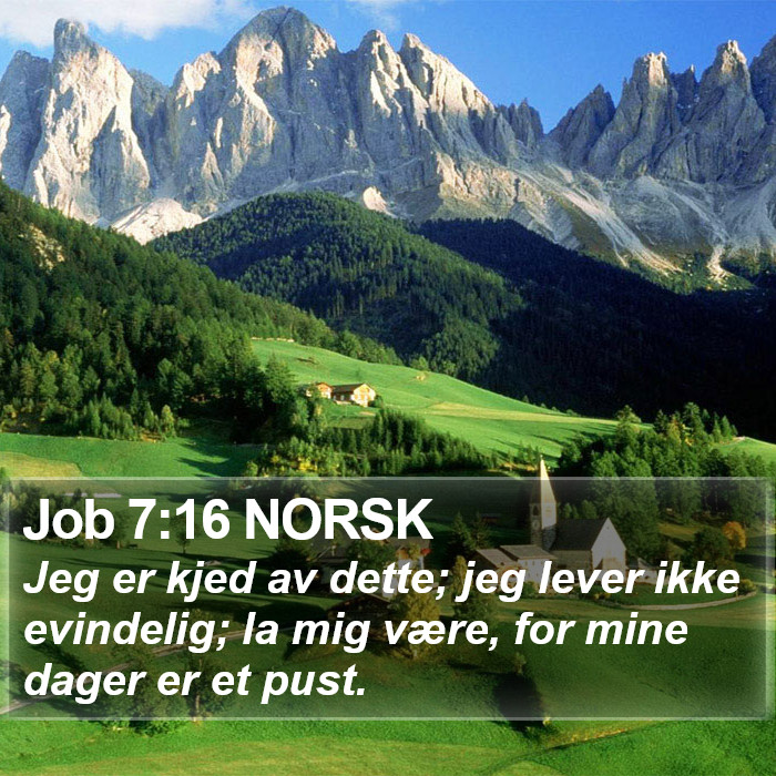 Job 7:16 NORSK Bible Study